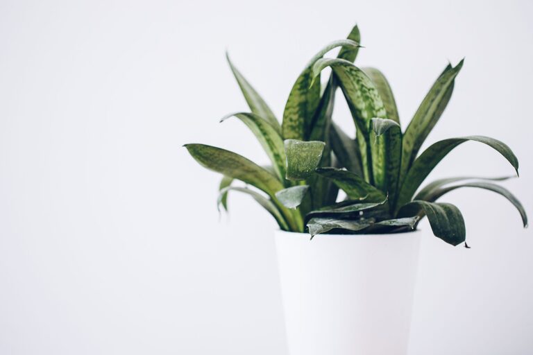 resized_22_api